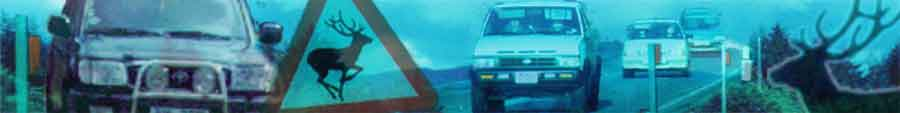 deercollisions banner